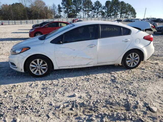 Photo 8 VIN: KNAFX4A6XG5612605 - KIA FORTE LX 