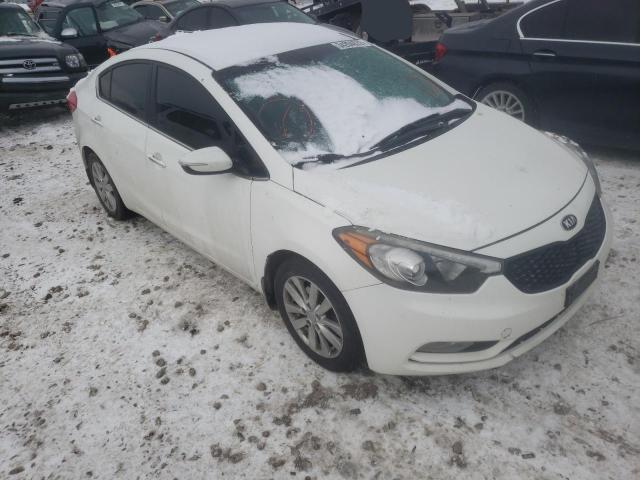 Photo 0 VIN: KNAFX4A82E5053534 - KIA FORTE EX 