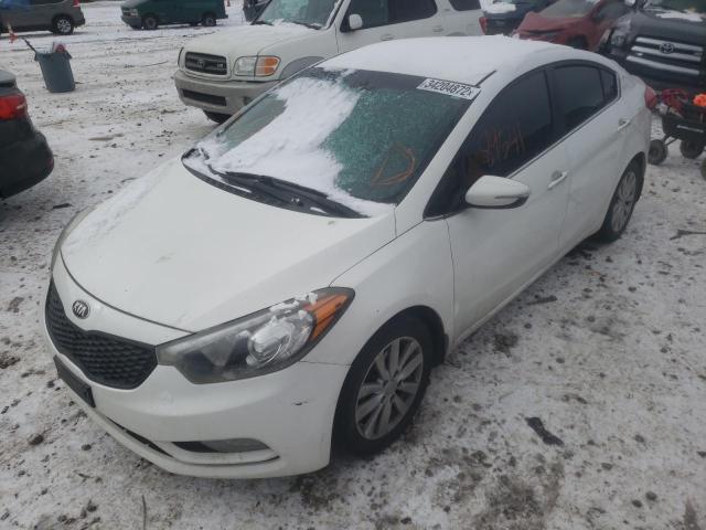 Photo 1 VIN: KNAFX4A82E5053534 - KIA FORTE EX 