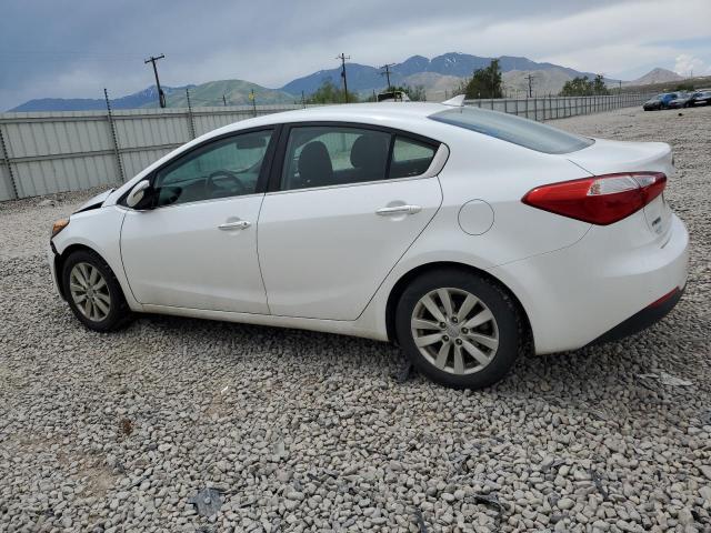 Photo 1 VIN: KNAFX4A88E5104986 - KIA FORTE EX 