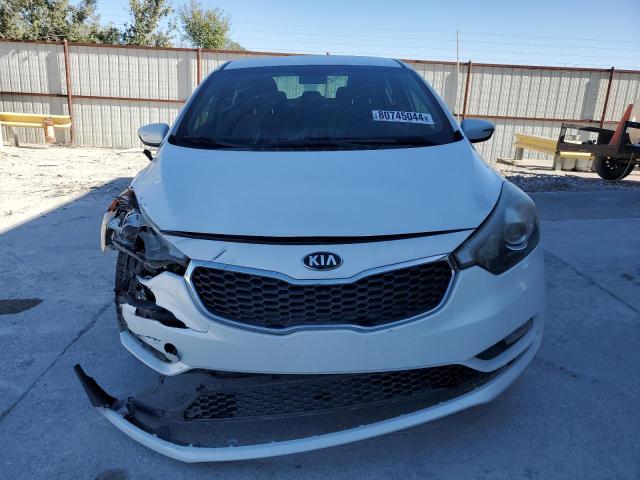 Photo 4 VIN: KNAFX4A89G5486349 - KIA FORTE EX 