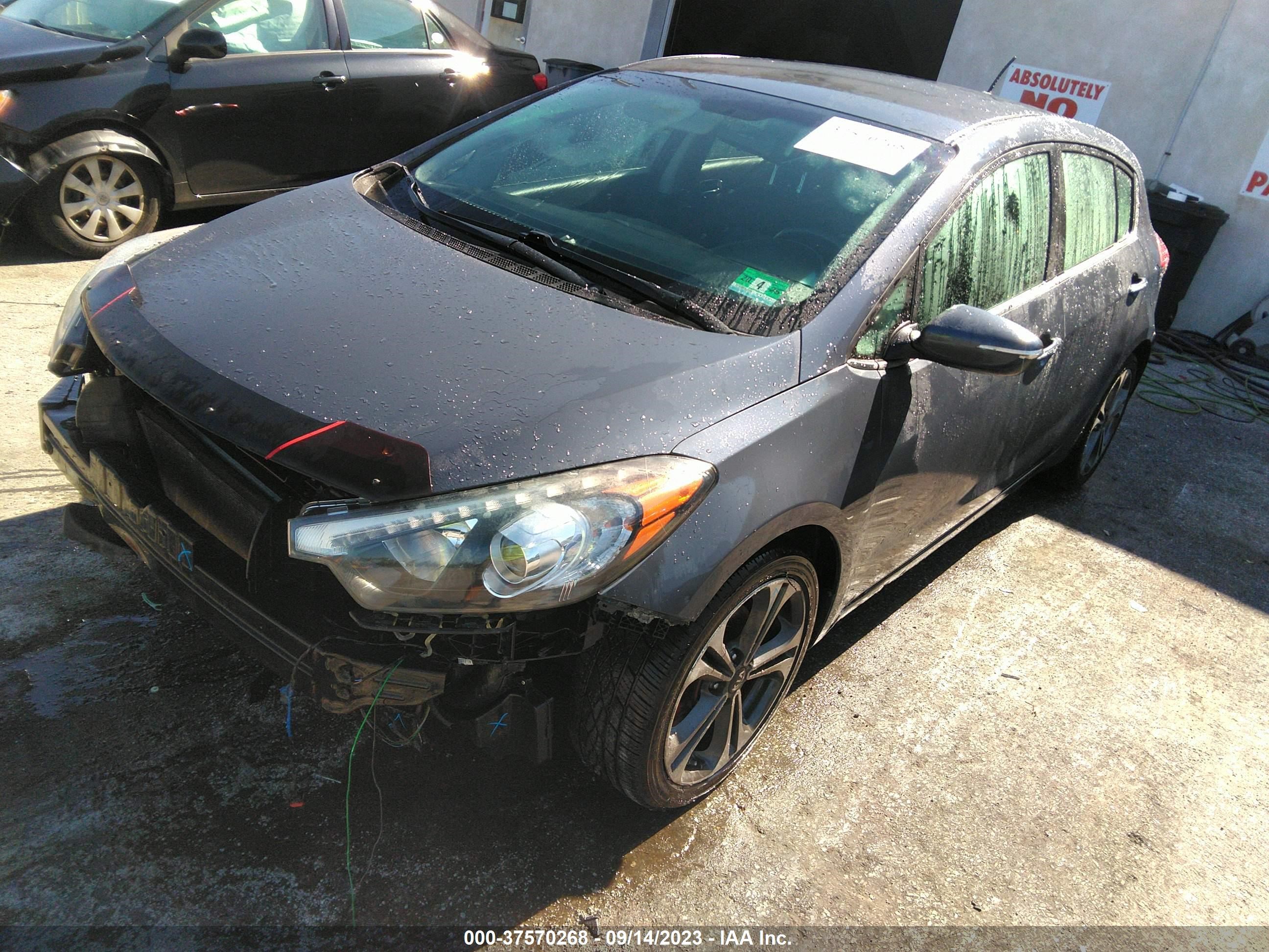 Photo 1 VIN: KNAFX5A83G5627745 - KIA FORTE 