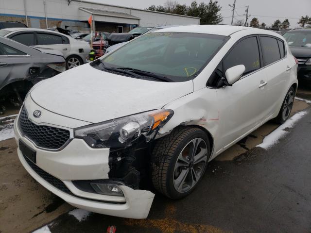 Photo 1 VIN: KNAFX5A83G5629480 - KIA FORTE EX 