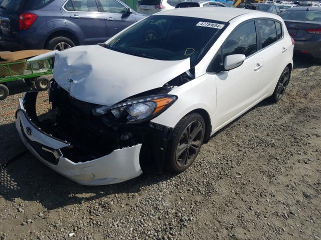 Photo 1 VIN: KNAFX5A84G5492520 - KIA FORTE EX 