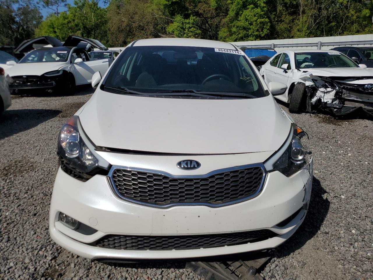 Photo 4 VIN: KNAFX5A85G5494728 - KIA FORTE 