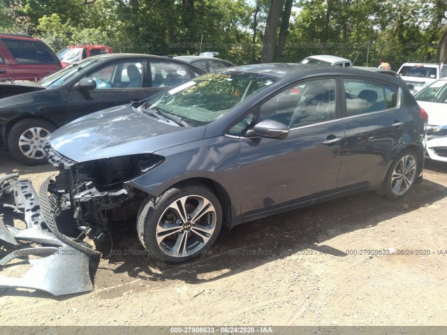 Photo 1 VIN: KNAFX5A85G5626497 - KIA FORTE 5-DOOR 