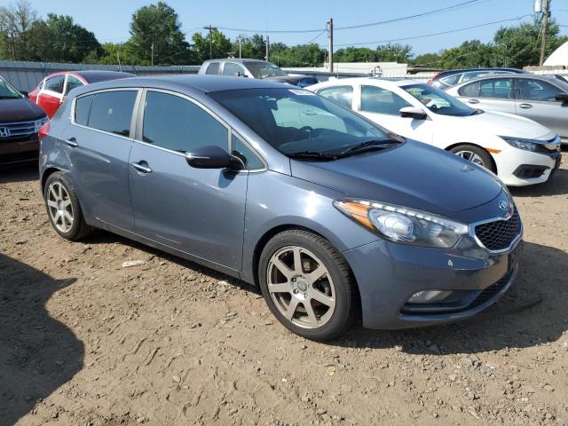 Photo 3 VIN: KNAFX5A85G5627097 - KIA FORTE EX 