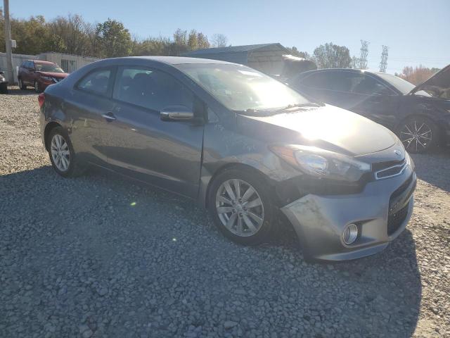 Photo 3 VIN: KNAFX6A81G5581063 - KIA FORTE EX 