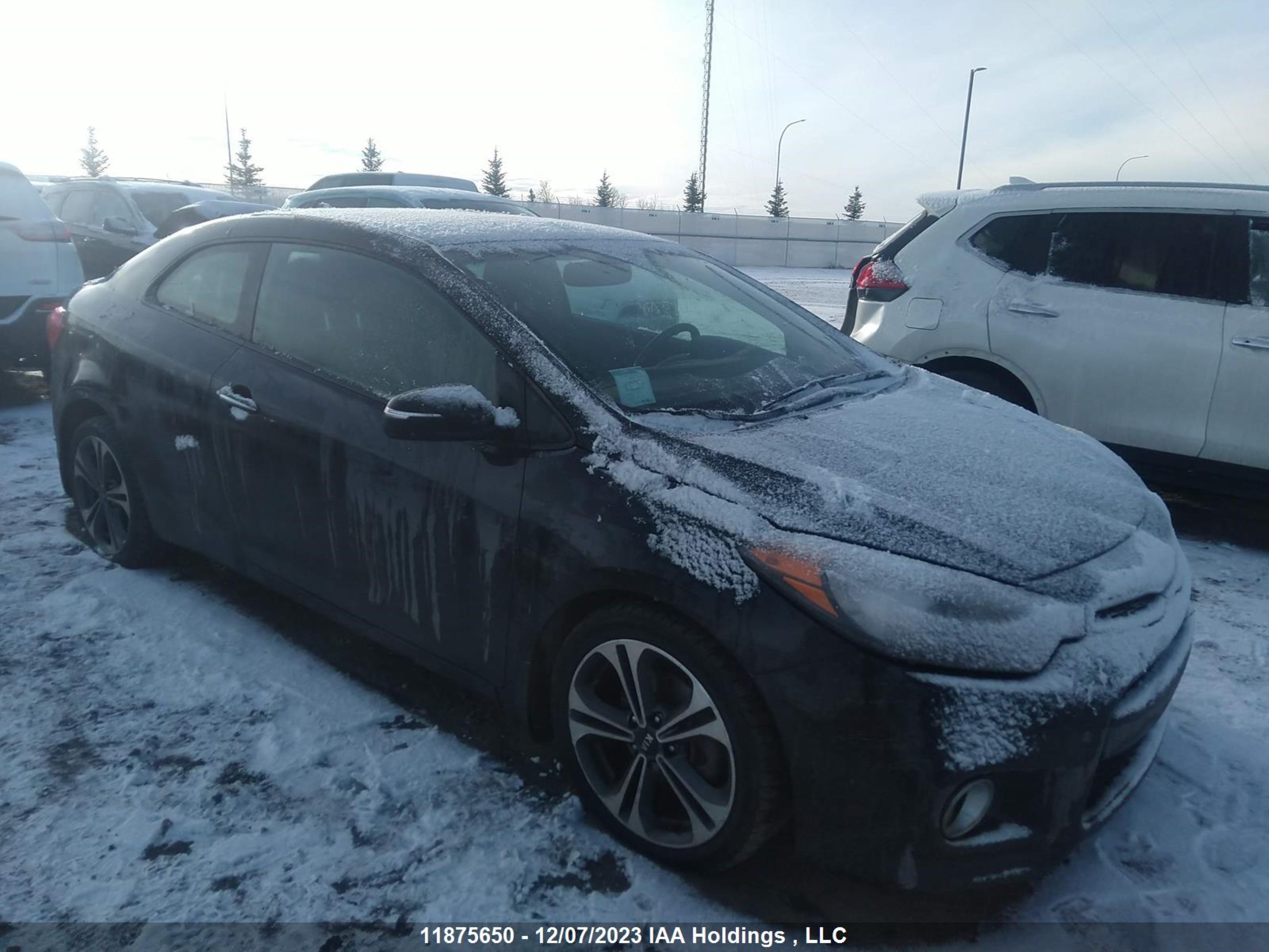 Photo 0 VIN: KNAFX6A85G5484139 - KIA FORTE 