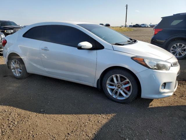 Photo 3 VIN: KNAFX6A89E5254083 - KIA FORTE EX 