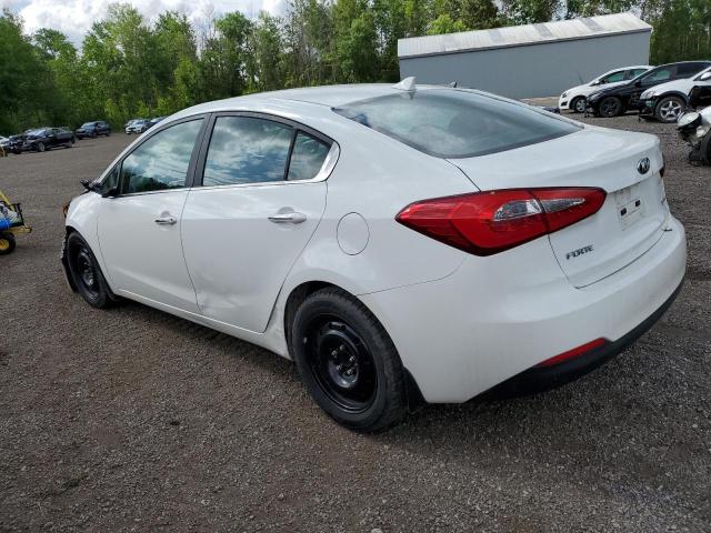 Photo 1 VIN: KNAFZ4A80F5262363 - KIA FORTE 