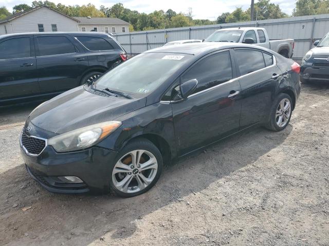 Photo 0 VIN: KNAFZ4A81E5200274 - KIA FORTE EX 