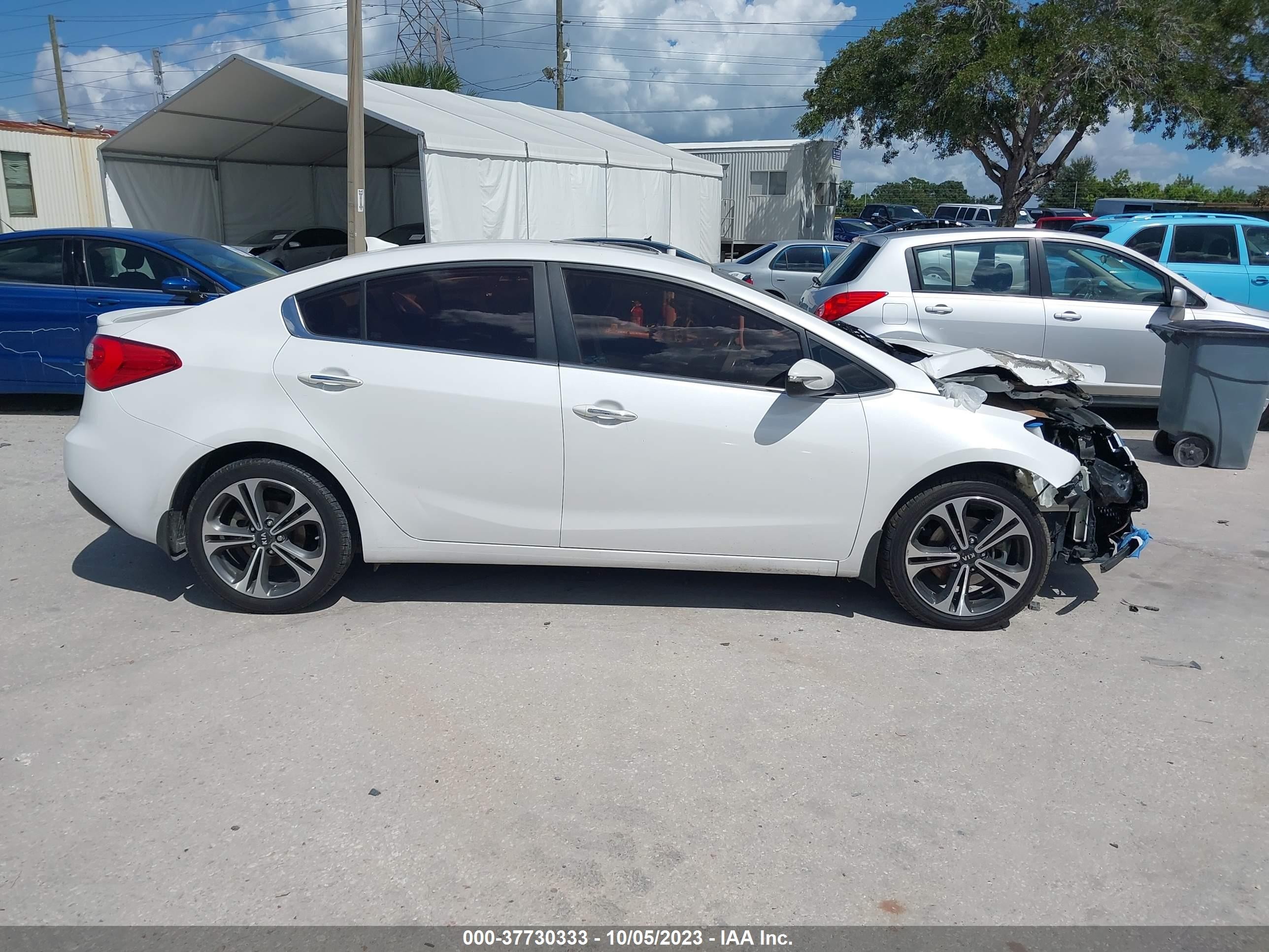 Photo 12 VIN: KNAFZ4A86E5103099 - KIA FORTE 