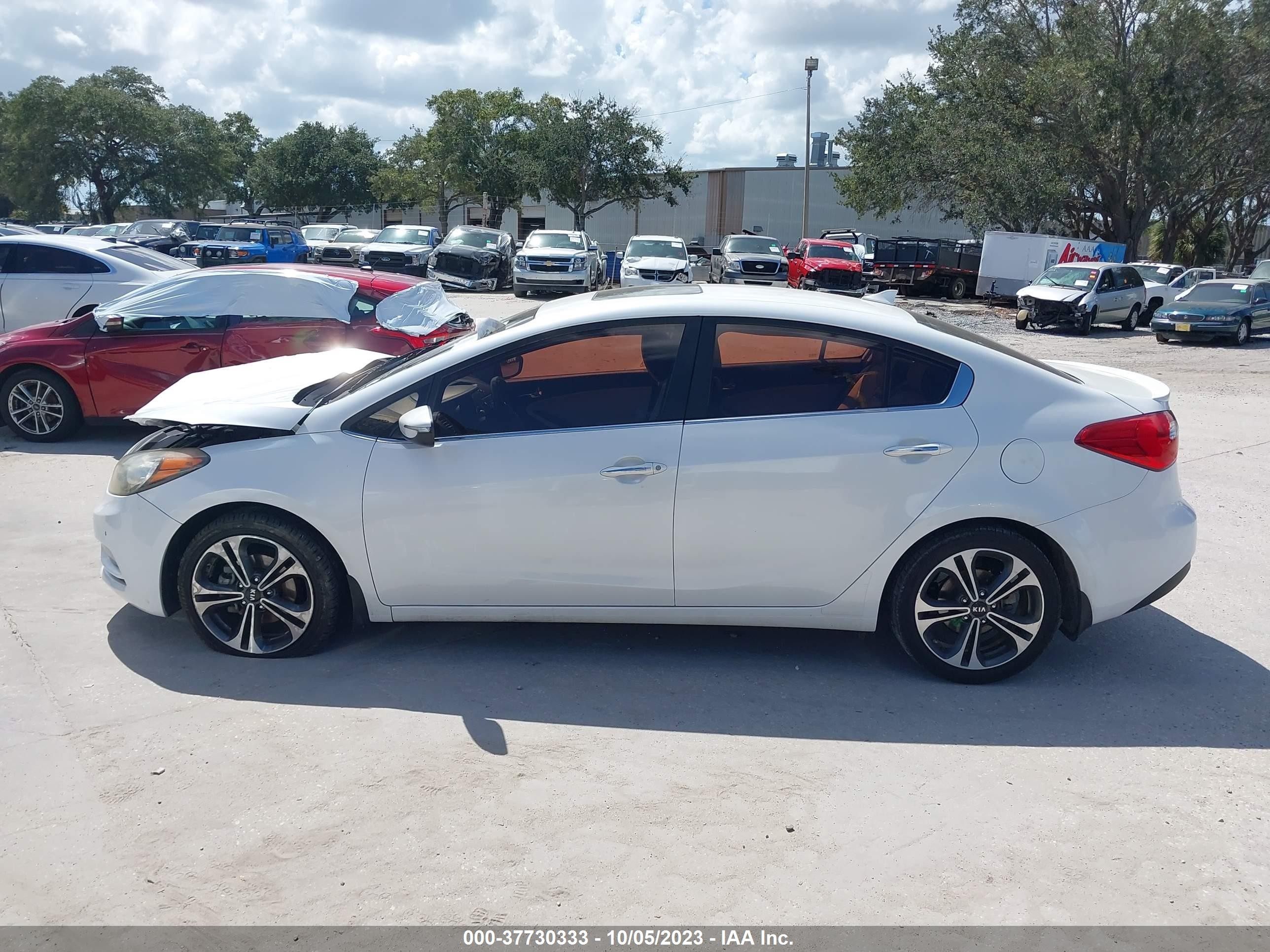 Photo 13 VIN: KNAFZ4A86E5103099 - KIA FORTE 