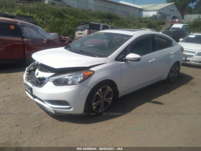 Photo 1 VIN: KNAFZ4A88G5479824 - KIA FORTE 