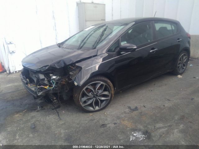 Photo 1 VIN: KNAFZ5A34G5535817 - KIA FORTE 5-DOOR 