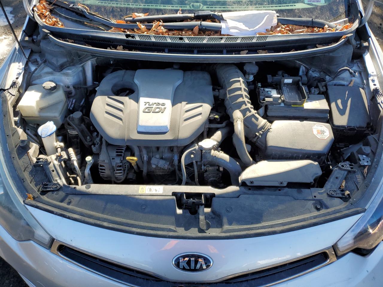 Photo 10 VIN: KNAFZ5A3XF5293369 - KIA FORTE 