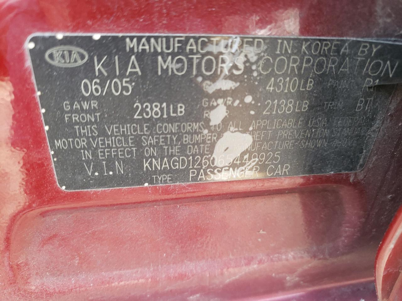 Photo 11 VIN: KNAGD126065449925 - KIA OPTIMA 