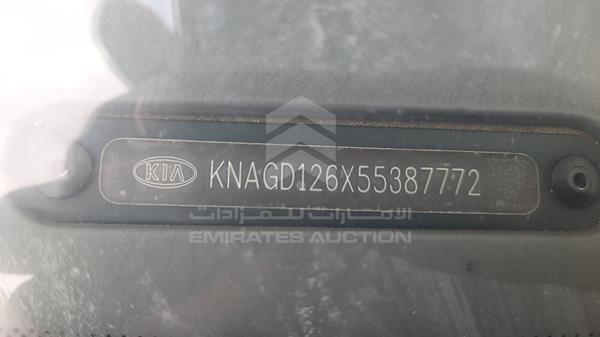 Photo 1 VIN: KNAGD126X55387772 - KIA OPTIMA 