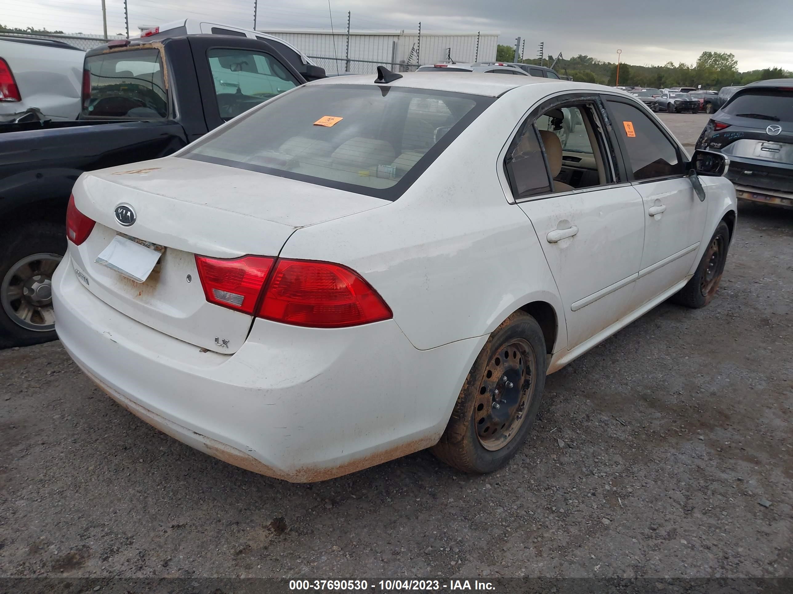 Photo 3 VIN: KNAGE228295291113 - KIA OPTIMA 