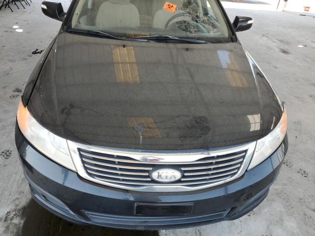 Photo 10 VIN: KNAGG4A80A5400678 - KIA OPTIMA 