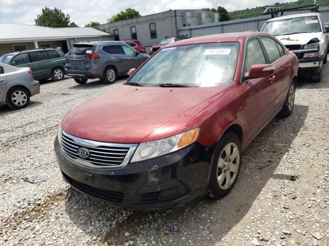 Photo 1 VIN: KNAGG4A83A5451706 - KIA OPTIMA LX 