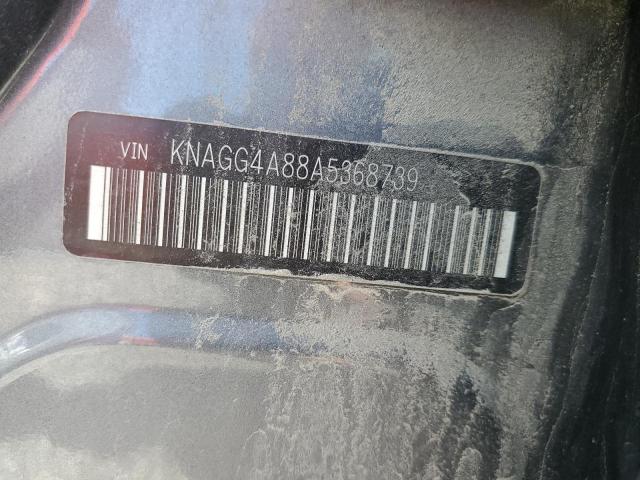 Photo 11 VIN: KNAGG4A88A5368739 - KIA OPTIMA 