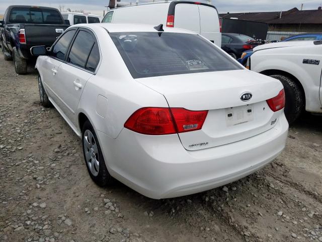 Photo 2 VIN: KNAGG4A88A5392510 - KIA OPTIMA LX 