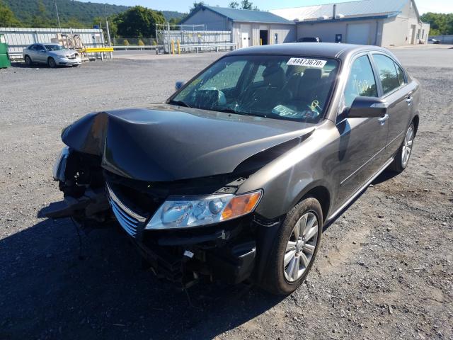 Photo 1 VIN: KNAGH4A4XA5411214 - KIA OPTIMA EX 