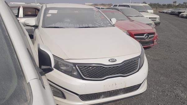 Photo 7 VIN: KNAGM4197G5663163 - KIA OPTIMA 