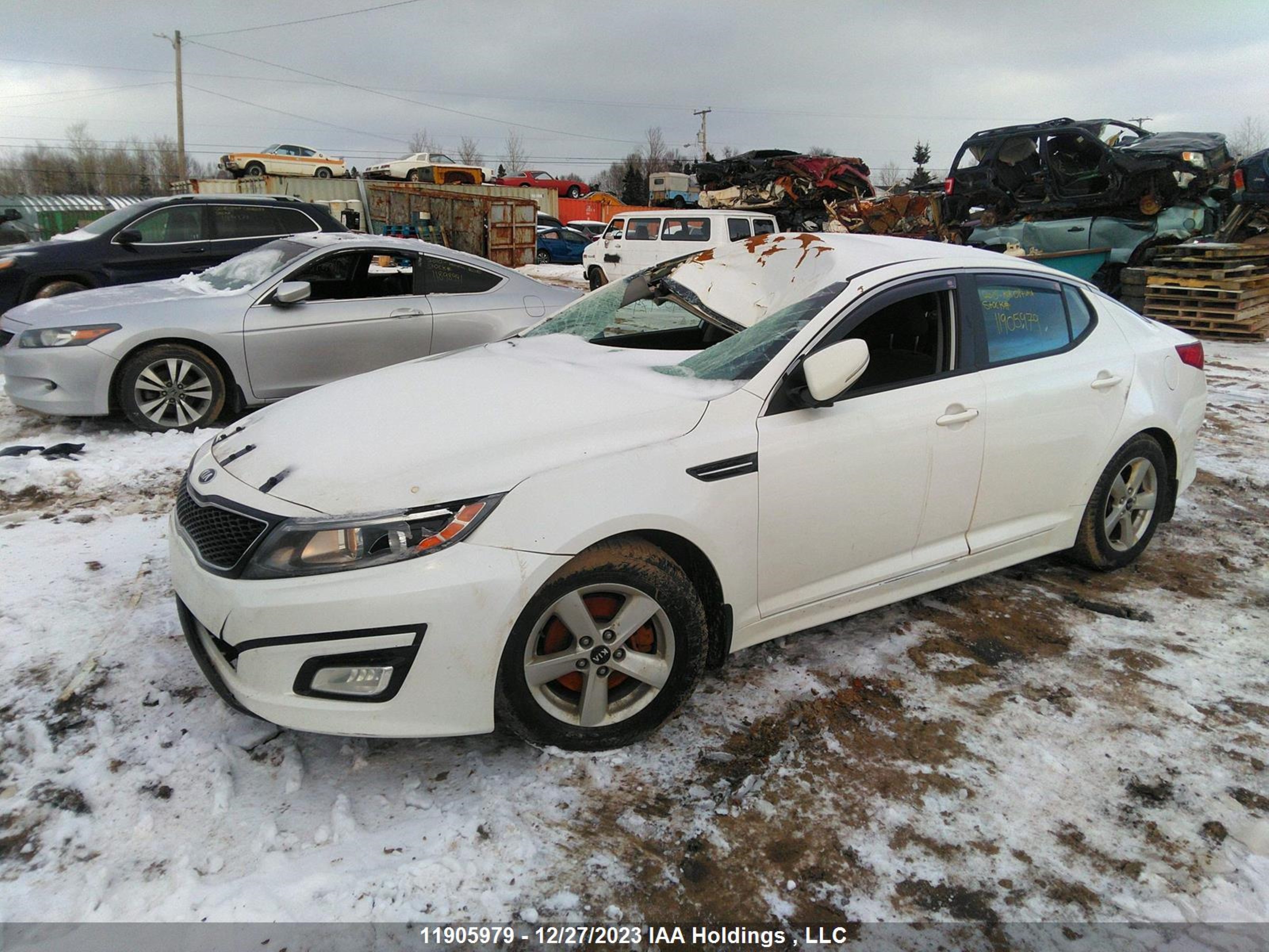 Photo 1 VIN: KNAGM4A70F5563807 - KIA OPTIMA 