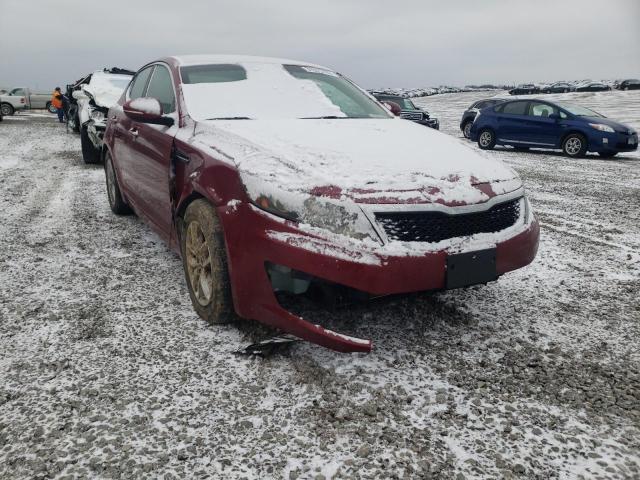 Photo 8 VIN: KNAGM4A71B5167282 - KIA OPTIMA LX 