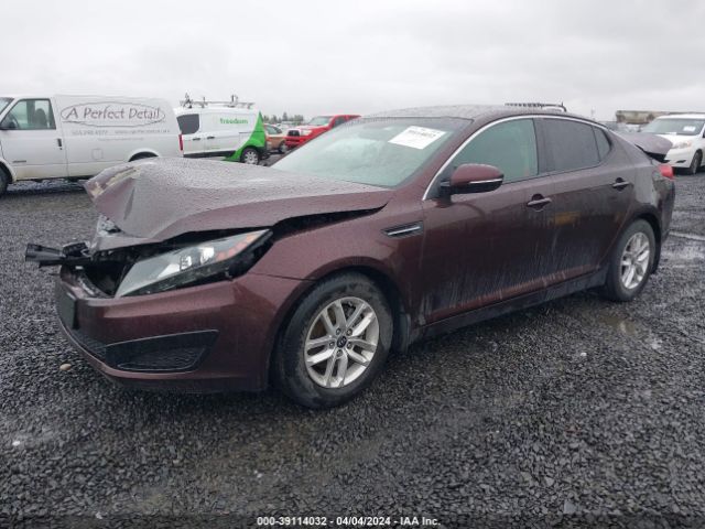 Photo 1 VIN: KNAGM4A73B5099146 - KIA OPTIMA 