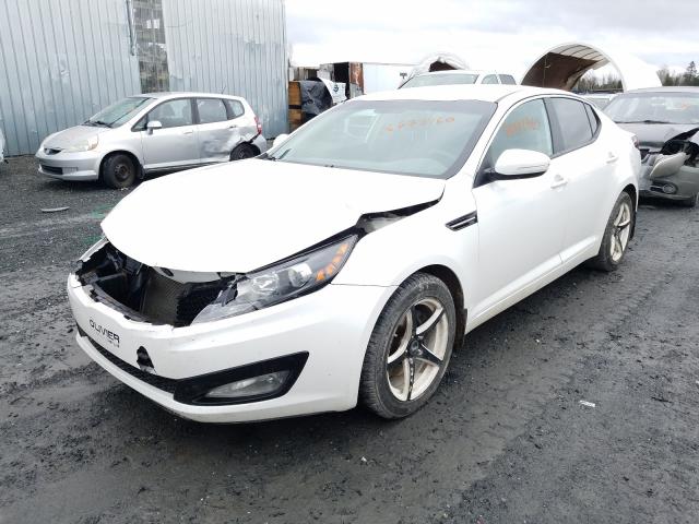 Photo 1 VIN: KNAGM4A73D5423392 - KIA OPTIMA LX 