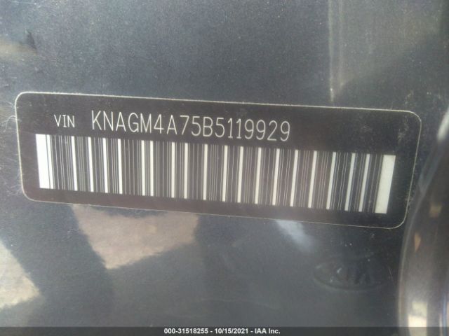 Photo 8 VIN: KNAGM4A75B5119929 - KIA OPTIMA 