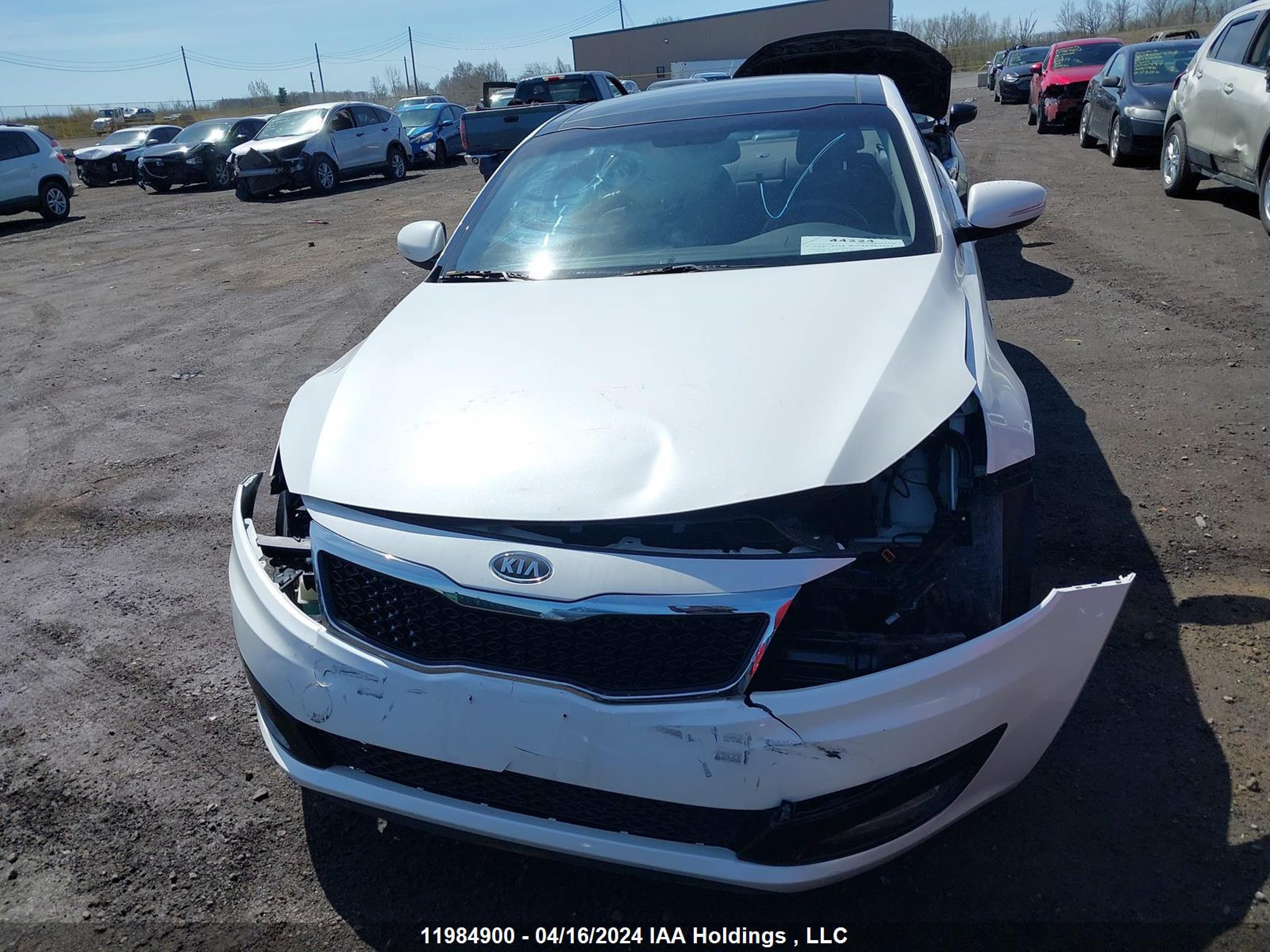 Photo 11 VIN: KNAGM4A75C5251297 - KIA OPTIMA 