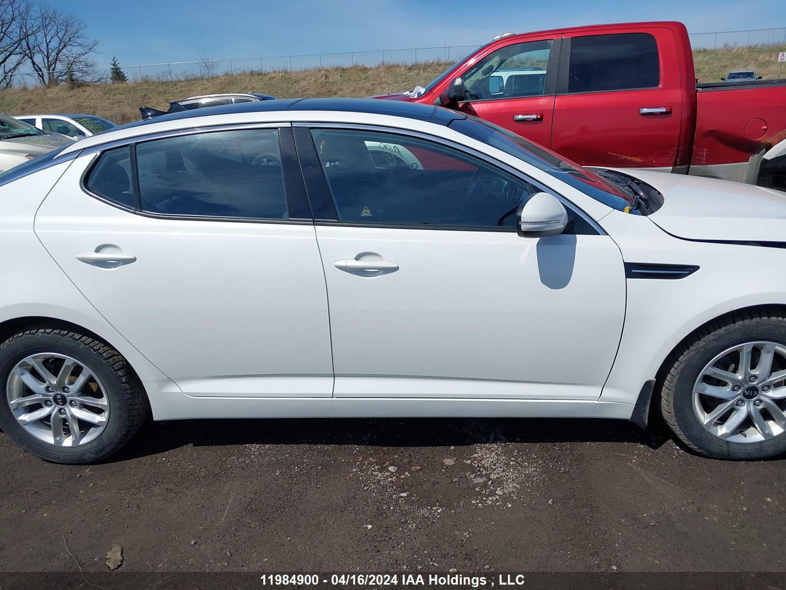 Photo 12 VIN: KNAGM4A75C5251297 - KIA OPTIMA 