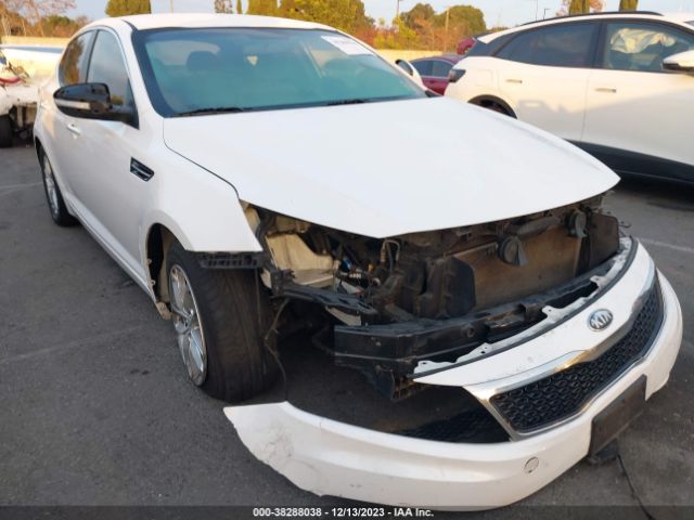 Photo 5 VIN: KNAGM4A75D5381288 - KIA OPTIMA 