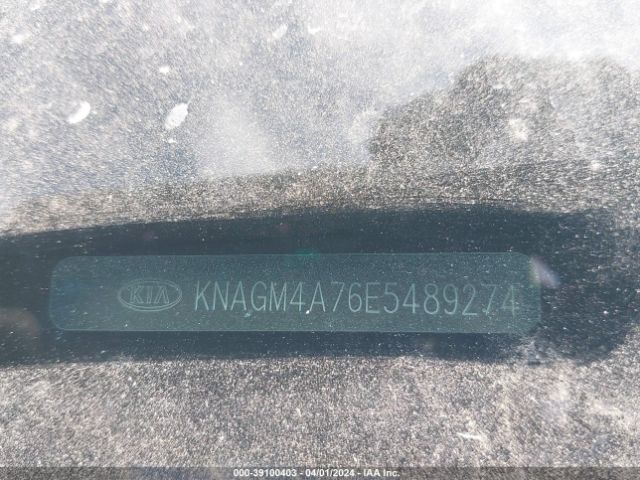 Photo 8 VIN: KNAGM4A76E5489274 - KIA OPTIMA 