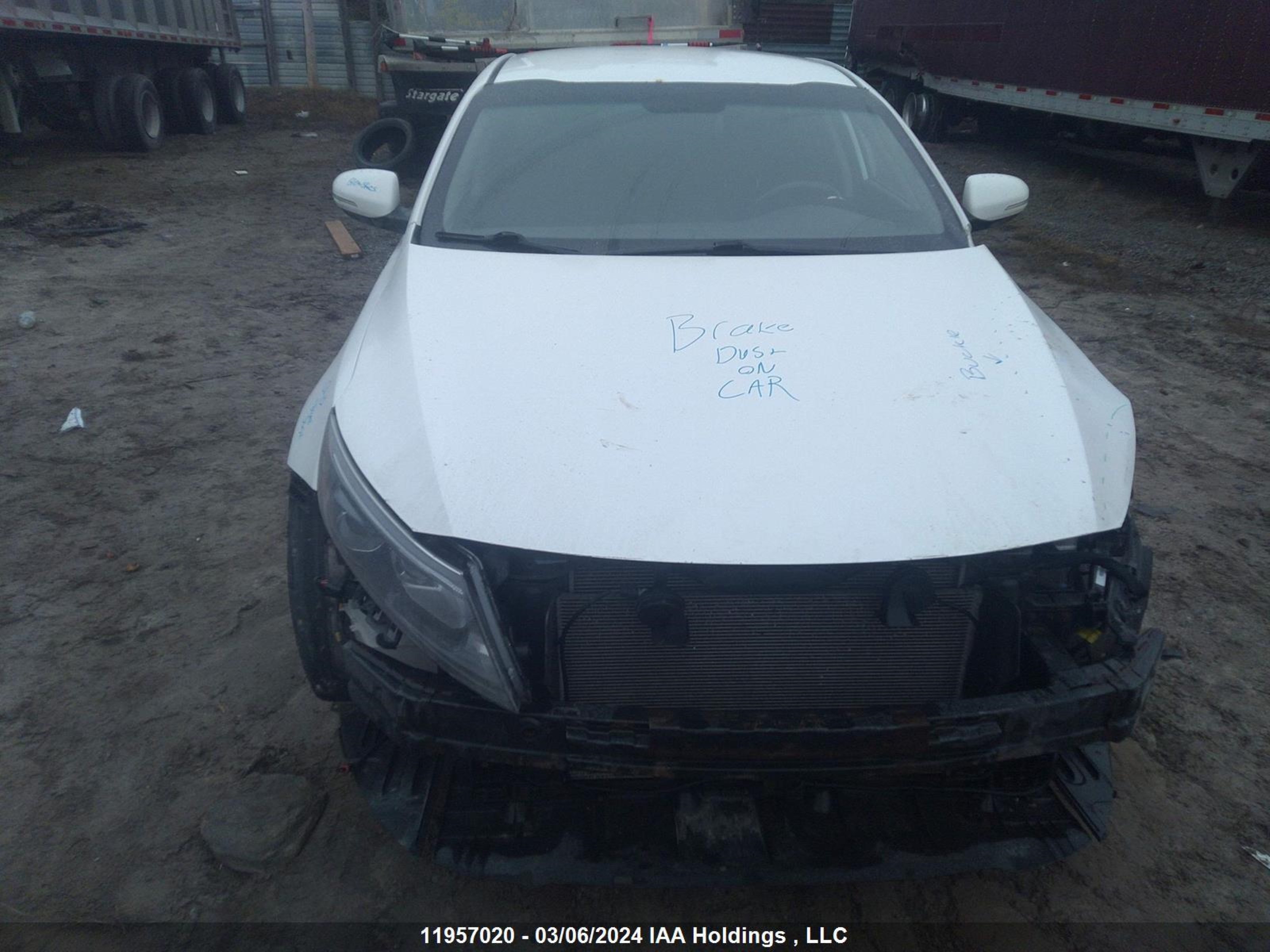 Photo 11 VIN: KNAGM4A76F5561009 - KIA OPTIMA 