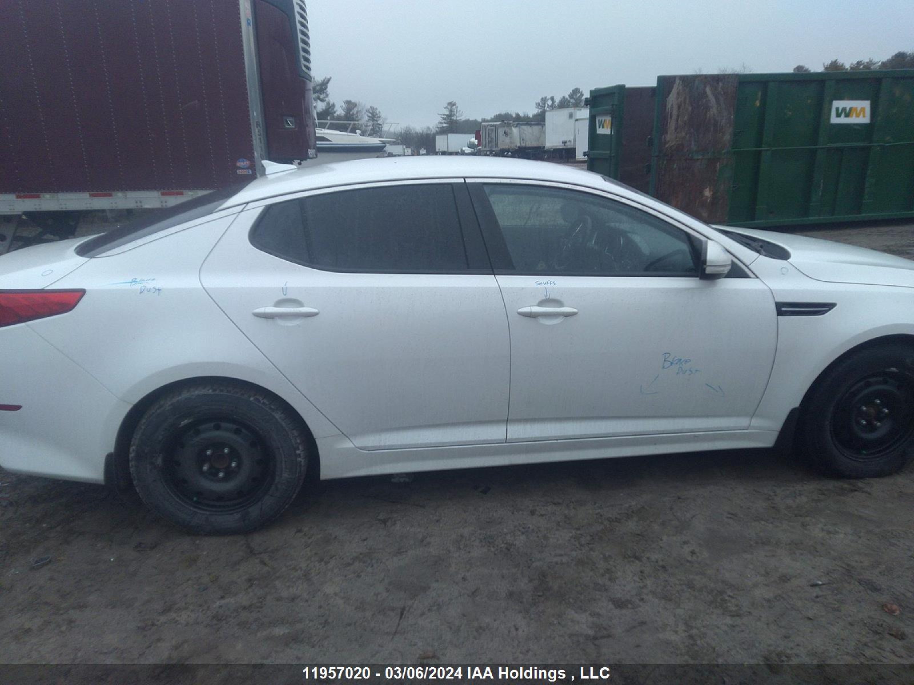 Photo 12 VIN: KNAGM4A76F5561009 - KIA OPTIMA 