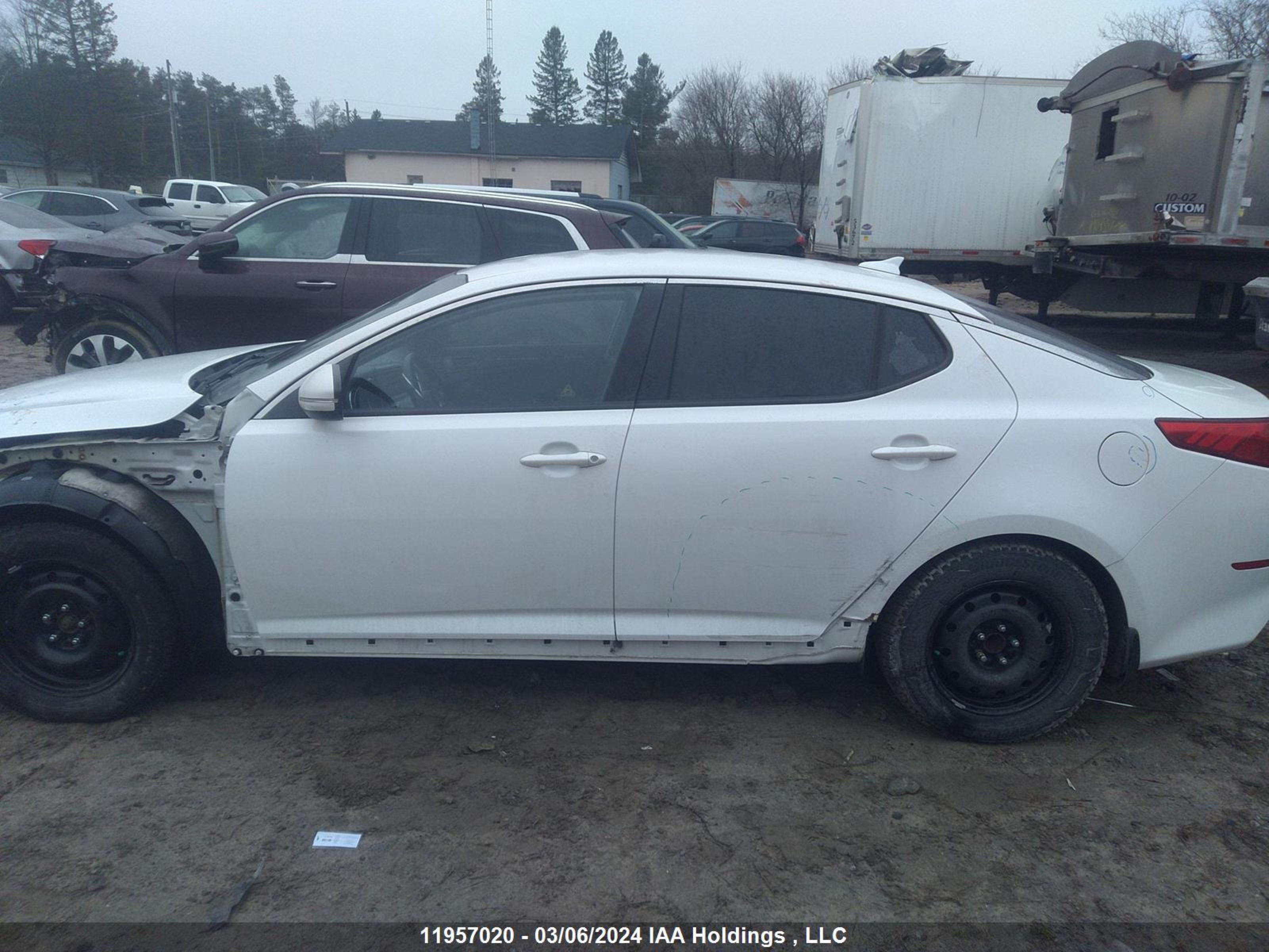 Photo 13 VIN: KNAGM4A76F5561009 - KIA OPTIMA 