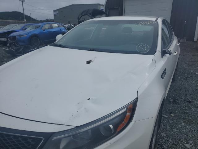 Photo 8 VIN: KNAGM4A77F5582354 - KIA OPTIMA LX 