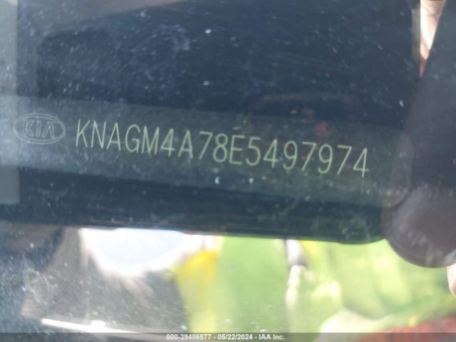 Photo 8 VIN: KNAGM4A78E5497974 - KIA OPTIMA 