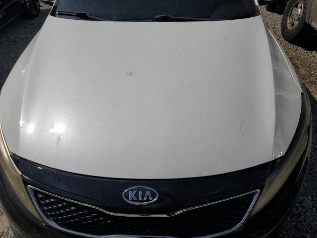 Photo 10 VIN: KNAGM4A78F5527542 - KIA OPTIMA LX 