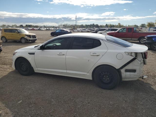 Photo 1 VIN: KNAGM4A79E5519013 - KIA OPTIMA LX 