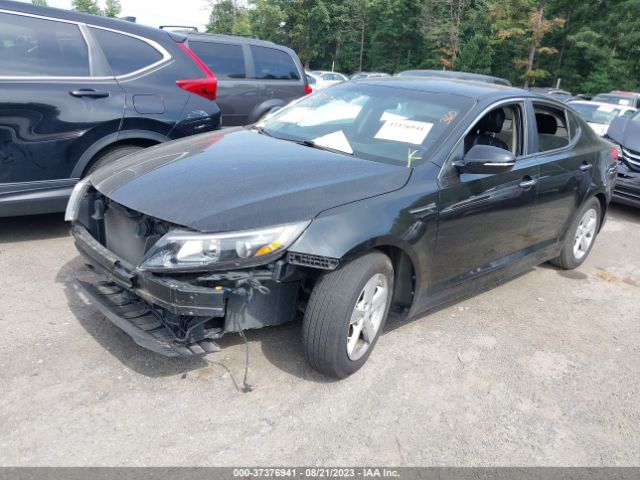 Photo 1 VIN: KNAGM4A79F5662156 - KIA OPTIMA 