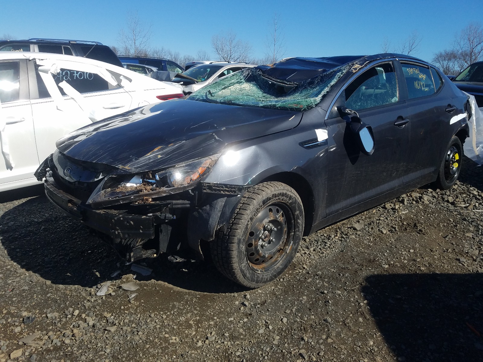 Photo 1 VIN: KNAGM4A7XB5055984 - KIA OPTIMA LX 