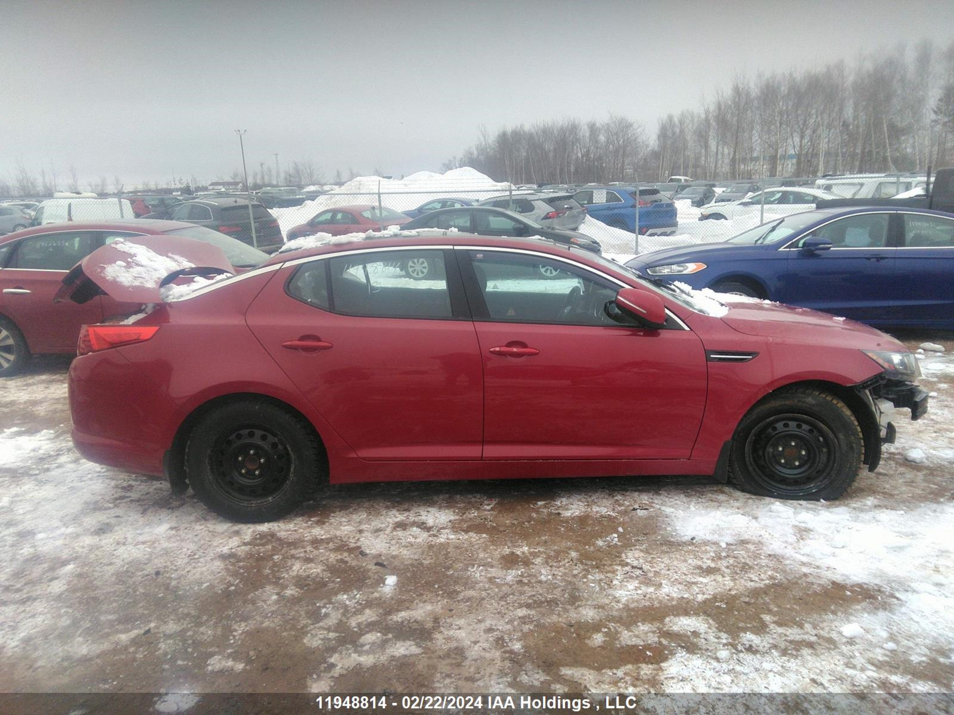 Photo 13 VIN: KNAGM4A7XD5393257 - KIA OPTIMA 