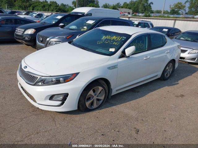 Photo 1 VIN: KNAGM4AD0G5096282 - KIA OPTIMA 